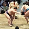義ノ富士、連敗を３で止める　新三役で勝ち越しを懸ける残り２日へ闘志「全部勝たないと負け越すので」