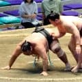 幕下・三田が６勝１敗で終える　幕下優勝の可能性残すも、単独トップの同部屋の生田目が「明日勝って決めてくれると思う」