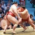３２歳の平幕・大栄翔が４場所ぶりに勝ち越し　「まだ２番ある。２ケタ勝利目指す」