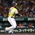 【阪神】新外国人ガルシア「すごいファンの方の雰囲気」初打席は代打で三ゴロもスタンドから拍手