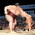 熱海富士　２横綱撃破！豊昇龍を寄り倒し圧倒　安青錦と対戦残し初Ｖへ１差「全部勝つ」　１０勝で大関とりも起点に