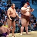 【元大関・琴風の目】腰の構え安定の関脇・熱海富士　年内には小錦さんや把瑠都さんのような大型大関が誕生の予感