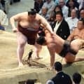 【大相撲】関脇・熱海富士が２横綱撃破の１０勝目　大関とりの起点つくる　トップと１差の３敗で静岡県勢初優勝へ「毎日毎日、全力でやっている」