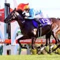 【２５日の注目・中京５Ｒ】未勝利戦で重賞ウィナー５頭の妹が激突！デアリングタクトの全妹は上昇ムード