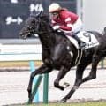 「ウマ娘」藤田晋オーナーの2.6億円馬 サンダーバードが連勝なるか