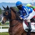 全姉は三冠牝馬のデアリングタクト リアライズアリスが待望の初勝利狙う