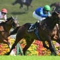 【競馬予想】ハンデ戦となった関屋記念は波乱含み　激走ムード漂うのは「勢いのある上がり馬」