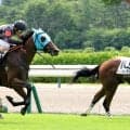 【新潟１Ｒ・２歳未勝利】夏の新潟オープニングレースは１番人気レゾルーティオが逃げ切りＶ　斎藤新騎手「着差以上に…」