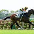 【中京２Ｒ・２歳新馬】暑熱対策で午前１０時１０分発走　ブレイクアウェイ完勝に岩田望来騎手「もっと良くなってくる」