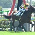 【中京2R新馬戦結果】キズナ産駒ブレイクアウェイが人気に応えて快勝