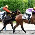 【新潟２Ｒ・２歳新馬】９番人気のミカミッチーが力強く抜け出しＶ　田中勝調教師「センスはある」