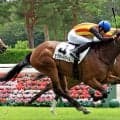 【新潟３Ｒ・２歳新馬】ミスターメロディ産駒のセプタードアイルが競り合い制す　荻野極騎手「この血統は…」