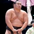 豊昇龍、休場を自ら申し出る「ふがいない相撲は取れない」　先場所休場要因の右太もも裏の負傷が完治せず　師匠の立浪親方は出場判断を謝罪