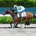 【札幌5R新馬戦結果】ルヴァンスレーヴ産駒レガメデルヴェントが大差勝ち