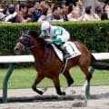 【札幌５Ｒ・２歳新馬】レガメデルヴェントが大差での衝撃デビューＶ　横山和生騎手「何でも出来そうだと思っていた」