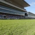 土曜新潟競馬場の注目激走馬…新潟７Ｒ新潟日報賞