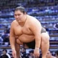 元幕内大翔丸が引退　35歳　千秋楽に師匠同席で引退会見　通算405勝440敗１休