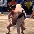 炎鵬が勝ち越し懸け千秋楽へ「何が何でも勝ちたい」西ノ龍を寄り切り７勝目で星五分に