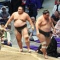 幕下優勝の行方は７人による決定戦へ　全勝だった生田目が初黒星　旭富士、三田らと千秋楽にトーナメントで争う