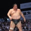 錦木が千秋楽に勝ち越し望みつなぐ「本当にけつがないので」