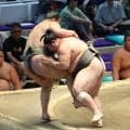 幕下・大花竜が勝ち越し　「もうちょっと勝ちたかったけど」関取復帰へ一歩前進