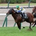 【札幌１１Ｒ・ＴＶｈ賞】ロジケープが堂々の３連勝でオープン入り　丹内祐次騎手「反応も良く強かったです」