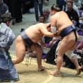 西十両４枚目・寿之富士が１０勝目　来場所の新入幕に前進　２ケタ勝利を目前に連敗で足踏み「早く白星を挙げたいと思っていた」
