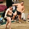 大翔丸引退「かわいい大翔丸たんの引退寂しいなぁ」「力強いいい力士だったよ」惜しむ声