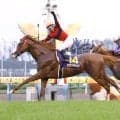０８年の菊花賞馬　２１歳のオウケンブルースリが免疫系の疾患で療養中　「獣医師と相談しながら、新しい治療を進めています」