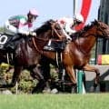 【中京７Ｒ・関ヶ原Ｓ】ゴール前の競り合い制したミッキーゴールド　西村淳也騎手「暑くても馬が元気でした」