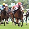 【新潟日報賞】ピコローズがメンバー最速３３秒１で快勝　田辺裕信騎手「開幕週の短距離でポジションを…」