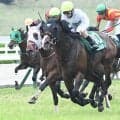 【関屋記念予想】瞬間的な力が要求される舞台は斤量に注意!? 上がりの速い決着にも不安を感じる軽視すべき人気馬
