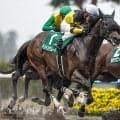 【東海S予想】芝向きの要素を備えた馬にチャンスあり!? 上位人気が有力も血統面から割り引いて考えたい一頭とは