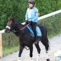 【東海Ｓ・土曜気配】重賞連勝狙うマテンロウコマンドは酷暑ＯＫ　長谷川調教師「暑さにやられている感じは一切ない」
