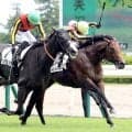 長期離脱後の叩き２戦目で競り勝ったＧ１馬の半弟に「着差以上」「痺れますねぇ」　兄は安田記念制覇のシックスペンス