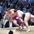安青錦がＶ王手、尊富士を寄り倒しで退ける　不戦勝の大関霧島と同星対決制した熱海富士が１差で千秋楽へ