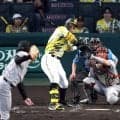 阪神　佐藤輝が２年ぶり死球　甲子園が大ブーイング　２０２５年は０死球→６８７日ぶりの“珍事”