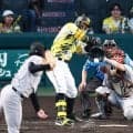 【阪神】佐藤輝明にヒヤリ　またも死球で甲子園は虎党の怒号響く