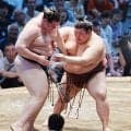 獅司が連敗で優勝争い脱落「悪い相撲が出た」熱海富士に押し出されて４敗目