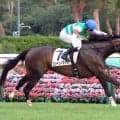 ２レース連続で３連単２００万円超！「魔境やん」「クソ荒れてたｗ」「無理だ」　暑熱対策初日の新潟競馬にネット驚がく