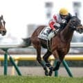 【関屋記念前日オッズ】ダノンセンチュリーが4.1倍で1番人気