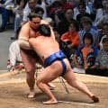錦富士“やり直し”で黒星に「納得いかない」思い明かす…藤ノ川との一番で「電気が走った」