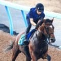 【関屋記念】混戦必至！前日最終オッズの単勝１番人気はダノンセンチュリーで４・１倍も３連単は人気が割れ模様
