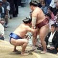 東前頭筆頭・藤ノ川が７勝７敗　勝ち越せば新三役近づくだけに「次の番付を意識したい」
