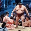 熱海富士　圧力全面に出し６連勝！逆転Vに望み　千秋楽は安青錦　勝てば決定戦に