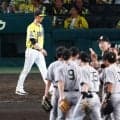 【阪神】首位陥落の藤川監督、１得点止まりの打線に「これは我慢が必要」２夜連続逆転負け