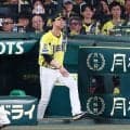 【阪神】藤川監督「一番与死球多いのは巨人ですから」佐藤輝明が２年ぶり死球、第３戦目も緊迫か