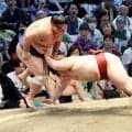 １３年ぶりご当所幕内力士・藤凌駕、２場所連続の２ケタ白星も内容を反省「その場で勝つ相撲は先がない」