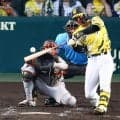 【阪神】森下翔太、前半戦最終戦に「全力を尽くします」巨人との首位攻防に連敗