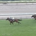 「1頭だけ別次元」“ロジユニ産駒”怒涛の3連勝にファン大興奮…2馬身差つけ完勝のレースに「後継者が爆誕」「本当にエモい」